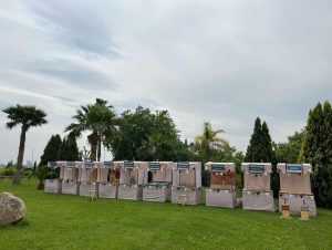 La foire des enfants